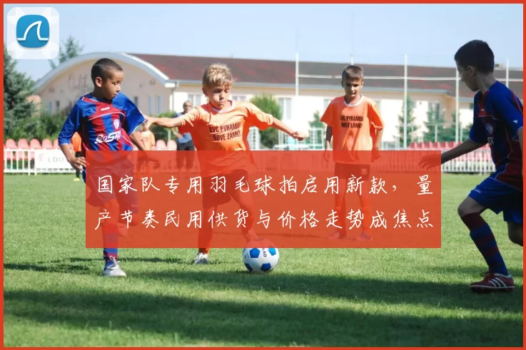 国家队专用羽毛球拍启用新款，量产节奏民用供货与价格走势成焦点