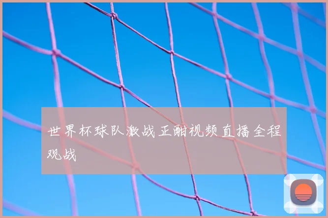 世界杯球队激战正酣视频直播全程观战